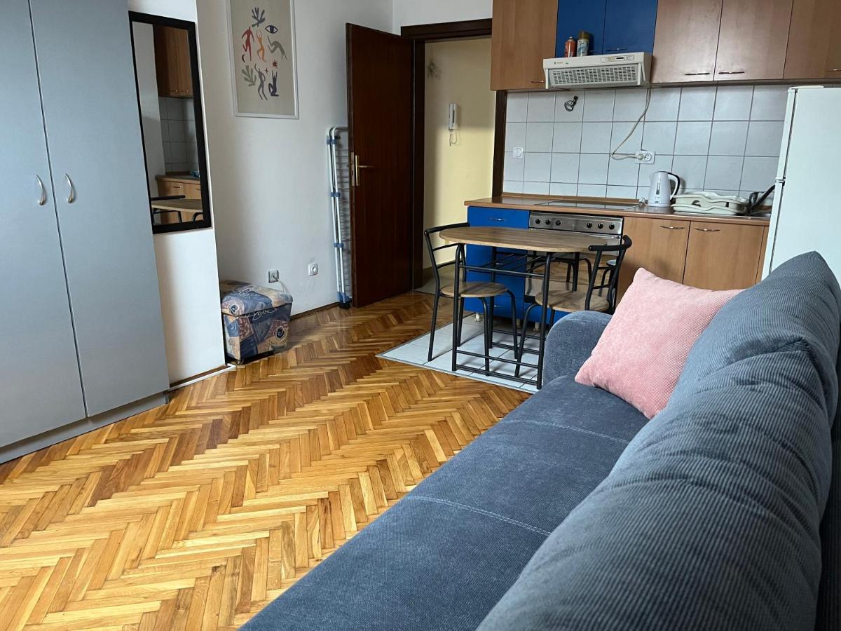 Studio In The Centre Of Apartment Novi Sad